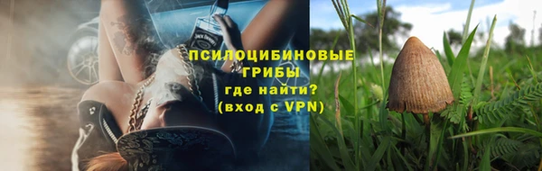 дурь Дмитров