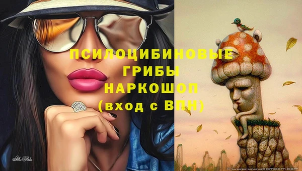 дурь Дмитров