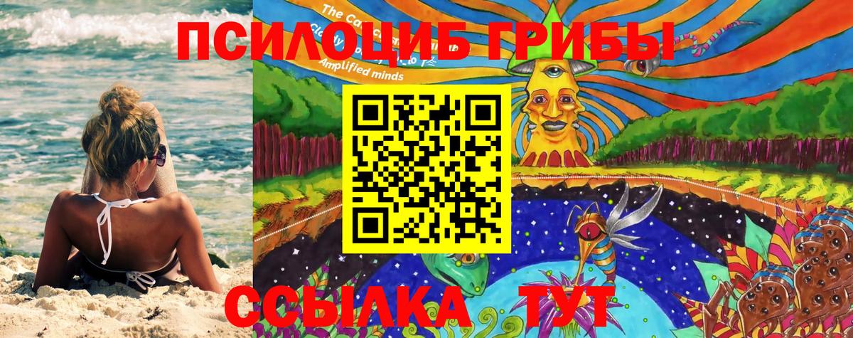 Псилоцибиновые грибы Magic Shrooms Обь