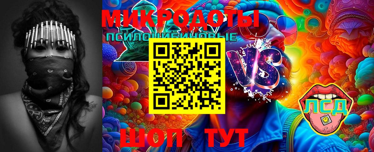 Обь  Псилоцибиновые грибы GOLDEN TEACHER  Вход с VPN 